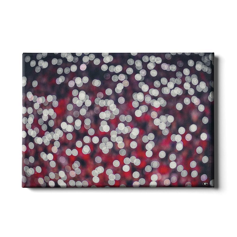 Georgia Bulldogs - Sanford Lights - College Wall Art #Canvas