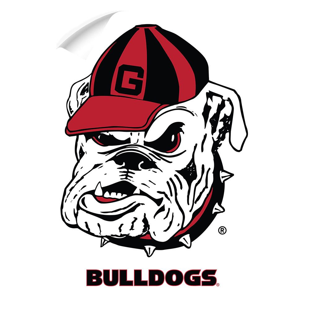 Georgia Bulldogs - Bulldogs - College Wall Art #Canvas