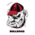 Georgia Bulldogs - Bulldogs - College Wall Art #Canvas