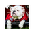 Georgia Bulldogs - Uga Chillin - College Wall Art #Canvas