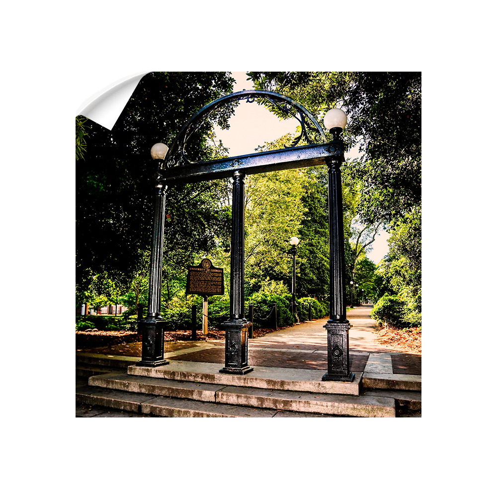 Georgia Bulldogs - The Arch - College Wall Art #Canvas