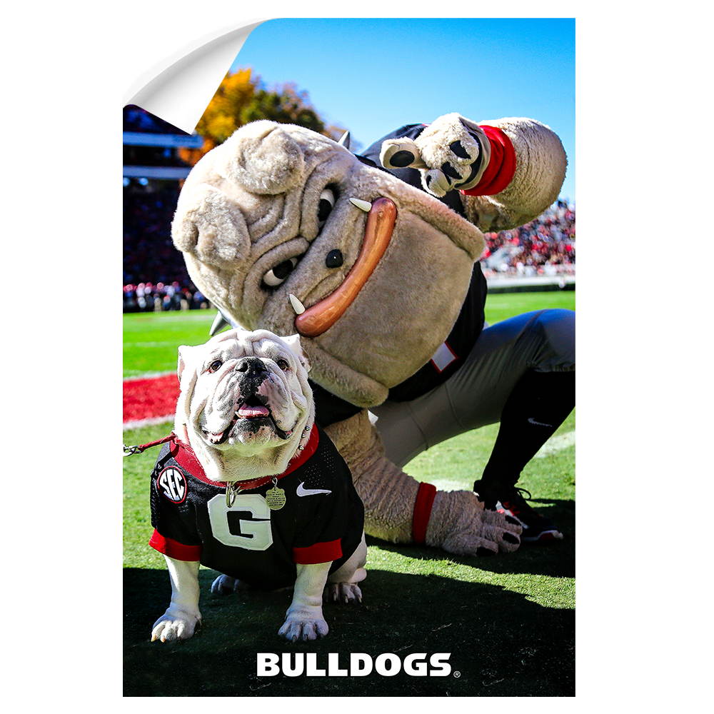 Georgia Bulldogs - Uga & Hairy the Dawg - College Wall Art #Canvas