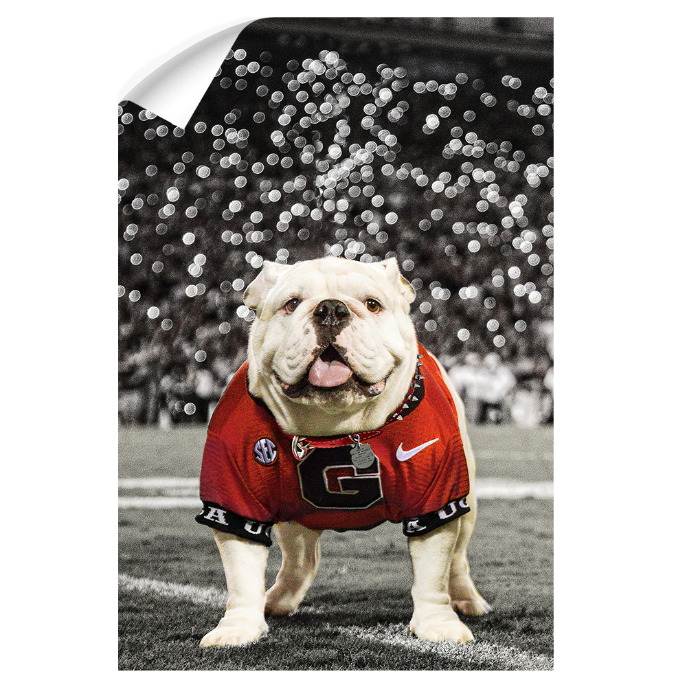 Georgia Bulldogs - Uga Under the Lights - College Wall Art #Canvas
