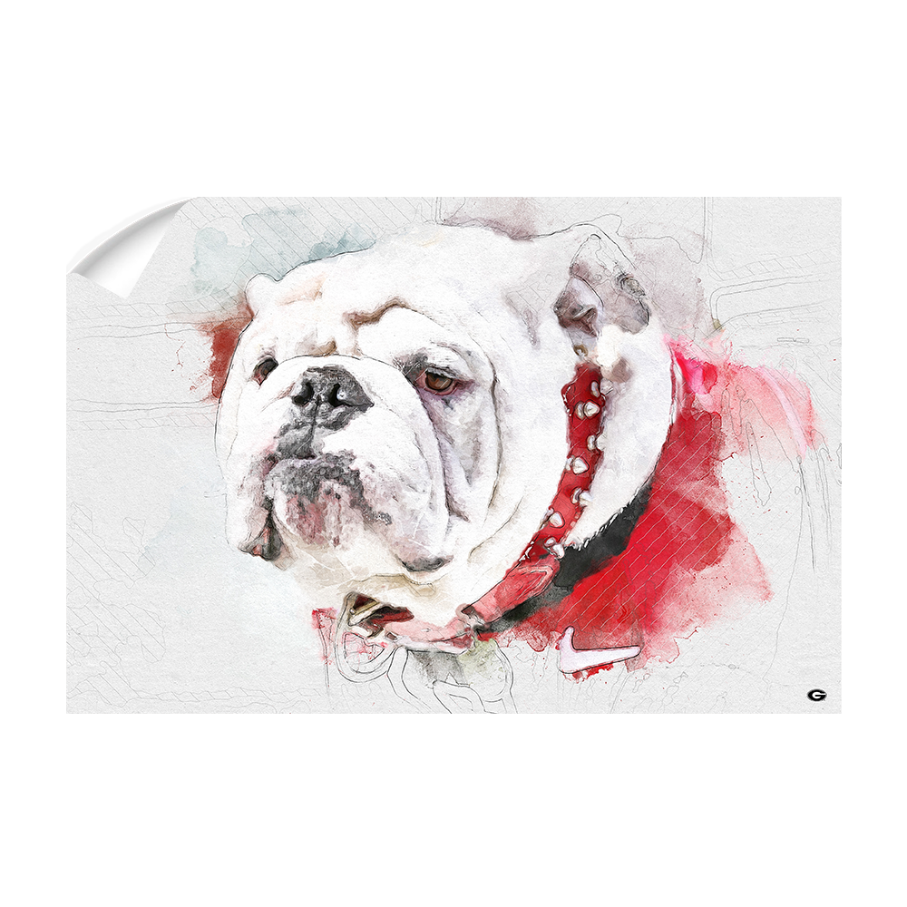 Georgia Bulldogs - Uga Painting - College Wall Art #Canvas