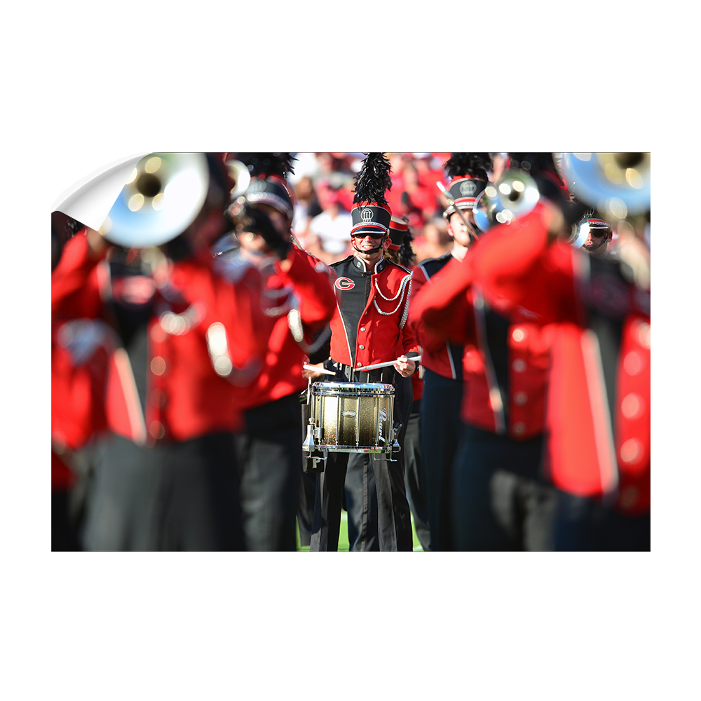 Georgia Bulldogs - Redcoat - College Wall Art #Canvas