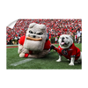 Georgia Bulldogs - Hairy and Uga Game Ready - College Wall Art #Wall Decal