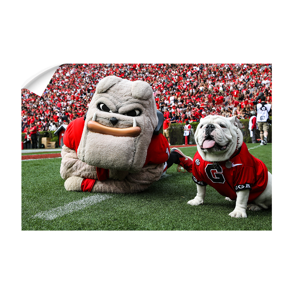 Georgia Bulldogs - Hairy and Uga Game Ready - College Wall Art #Canvas