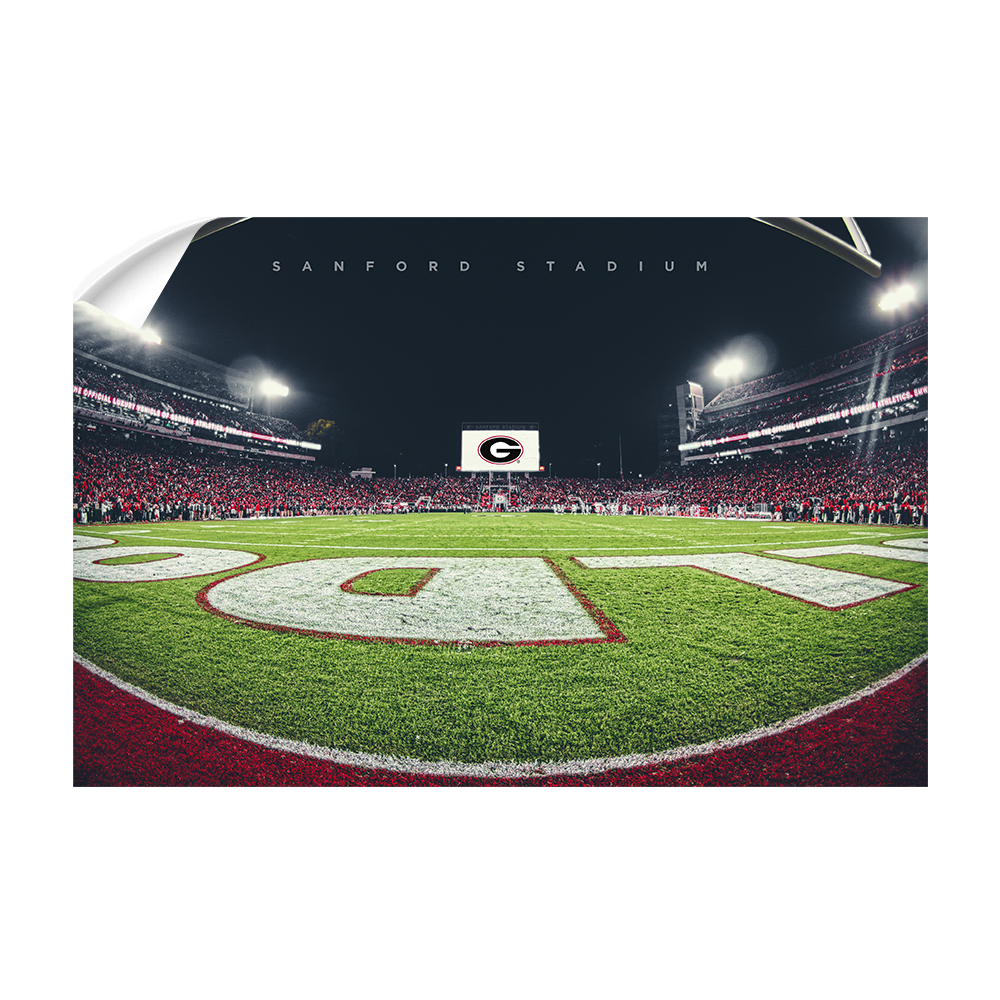 Georgia Bulldogs - Sanford Stadium End Zone - College Wall Art #Canvas