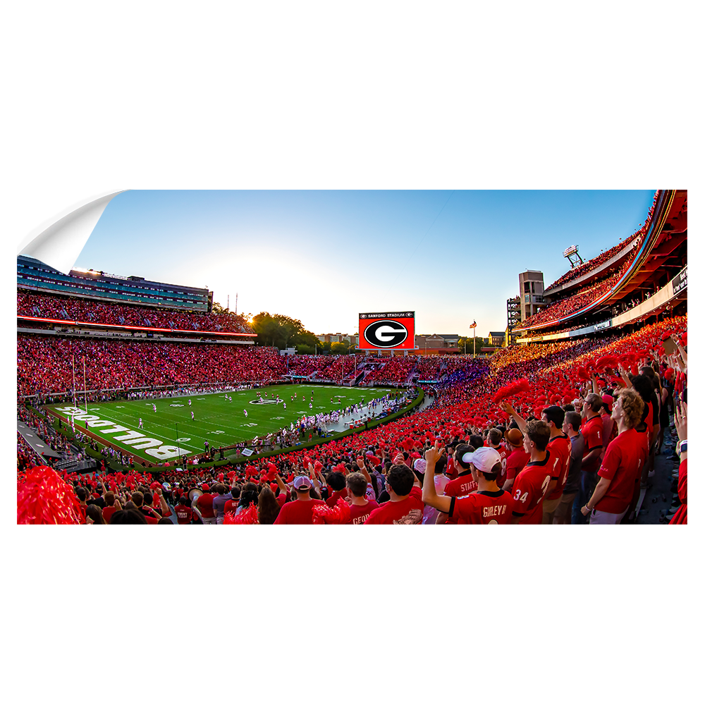 Georgia Bulldogs - Gooooo Georgia Panoramic - College Wall Art #Canvas