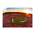 Georgia Bulldogs - Sanford Stadium Sunset - College Wall Art #Canvas