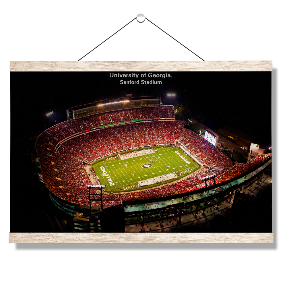 Georgia Bulldogs - University of Georgia Sanford Stadium - College Wall Art #Canvas