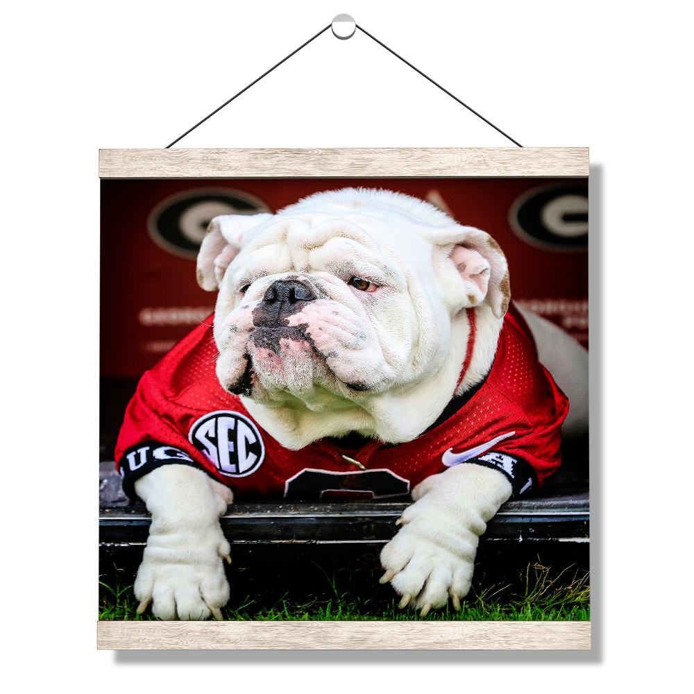 Georgia Bulldogs - Uga Chillin - College Wall Art #Canvas
