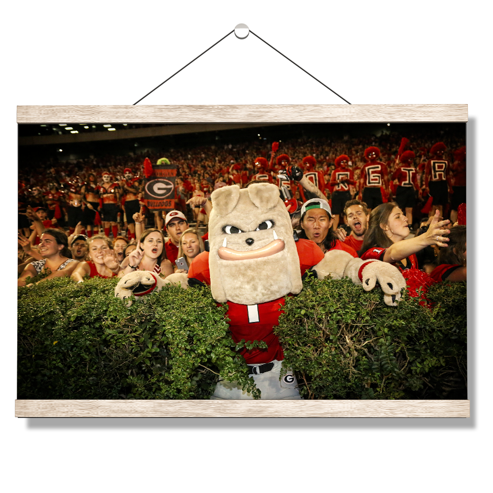 Georgia Bulldogs - Hairy in the Hedges - College Wall Art #Canvas