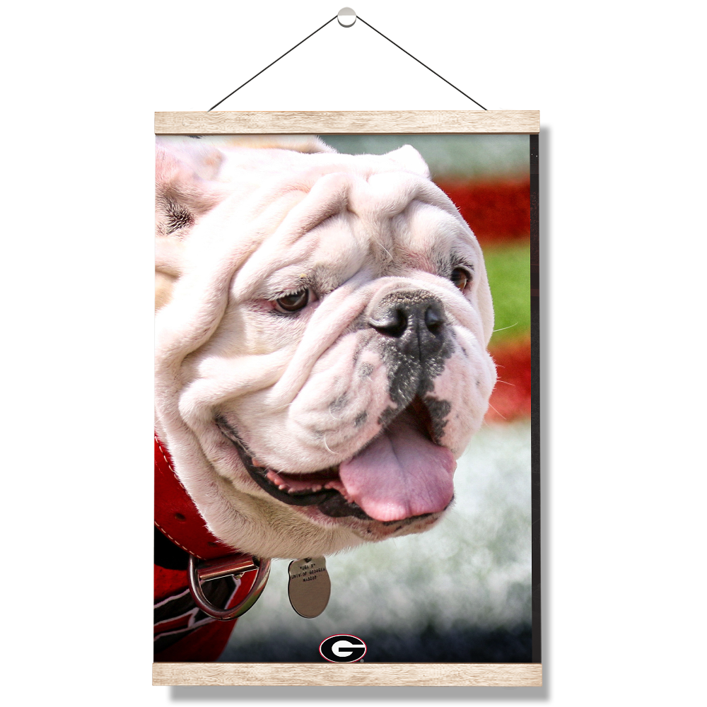 Georgia Bulldogs - Uga Portrait - College Wall Art #Canvas
