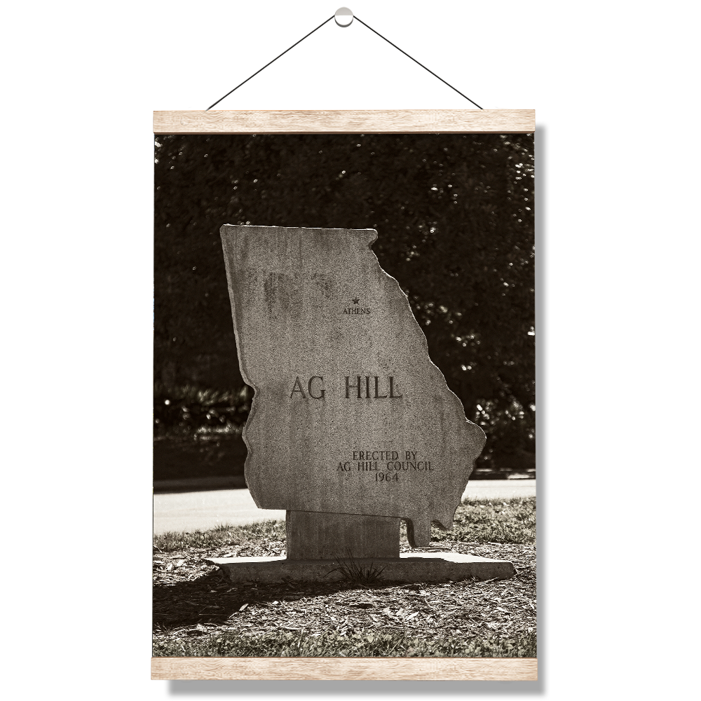 Georgia Bulldogs - AG Hill - College Wall Art #Canvas