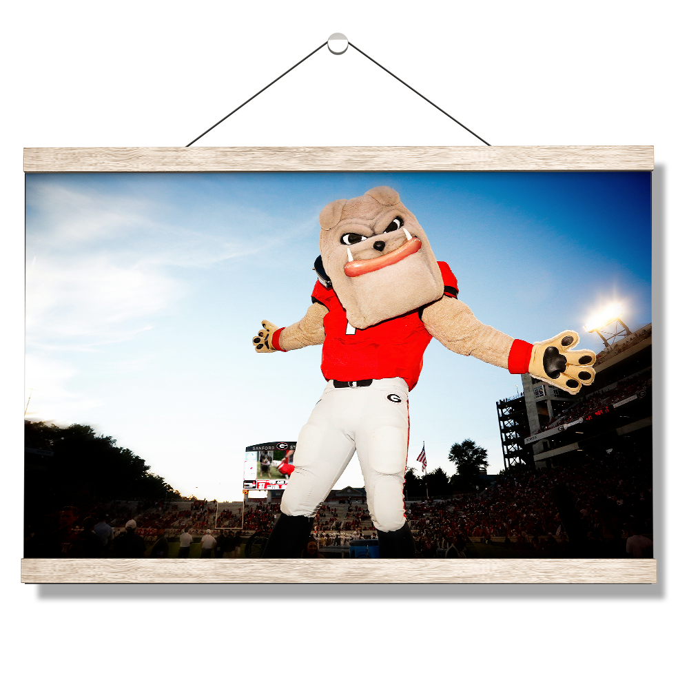 Georgia Bulldogs - Hairy the Dawg - College Wall Art #Canvas