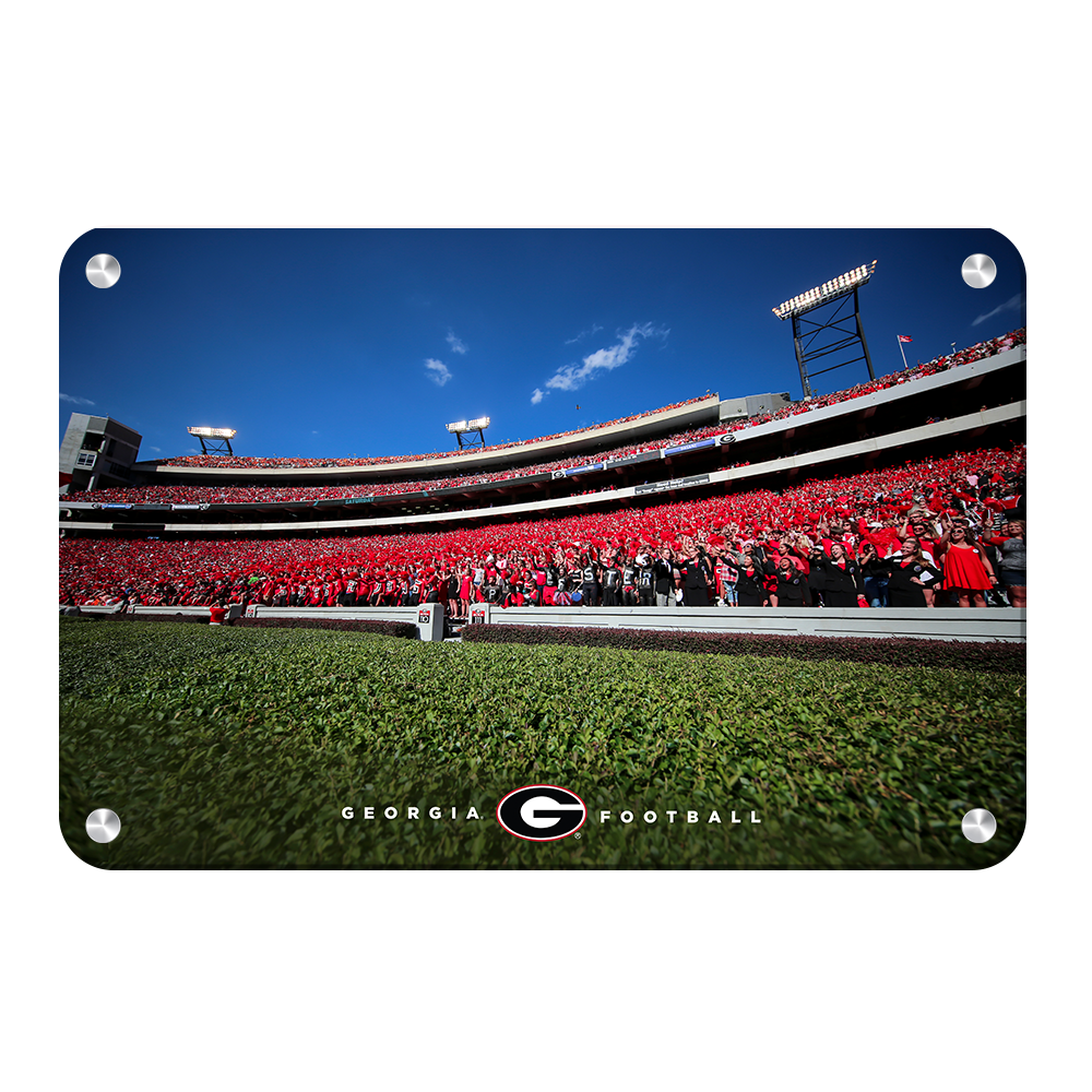Georgia Bulldogs - Georgia Football - College Wall Art #Canvas