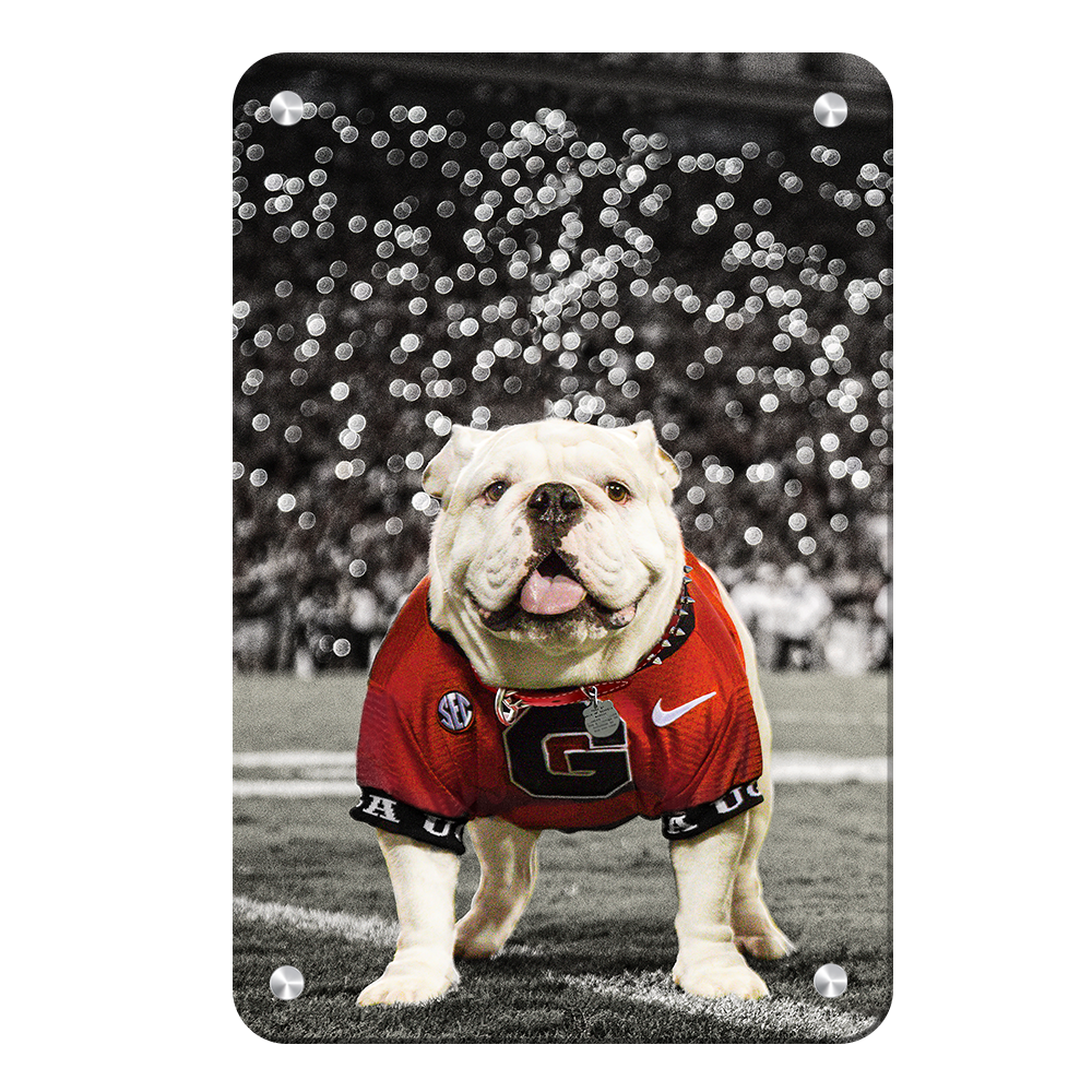 Georgia bulldog dog sweater sale