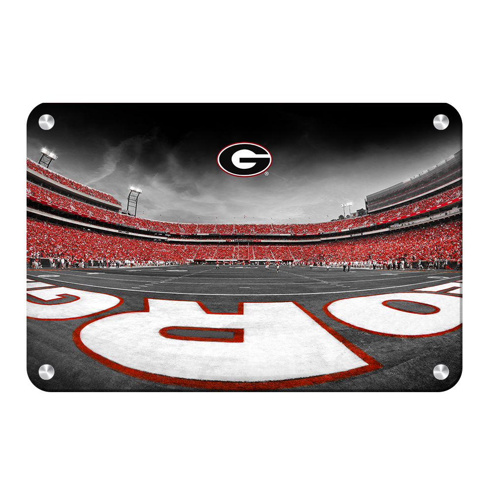 Georgia Bulldogs - Sanford Stadium End Zone Duotone - College Wall Art #Canvas
