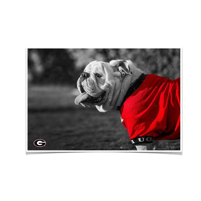 Georgia Bulldogs - Uga Poised - College Wall Art #Poster