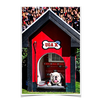 Georgia Bulldogs - Uga X in the House - College Wall Art #Poster
