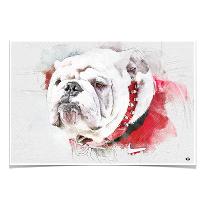 Georgia Bulldogs - Uga Painting