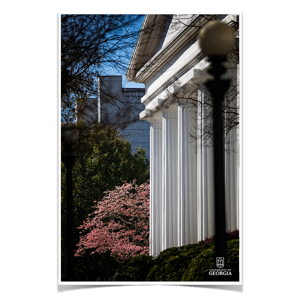 Georgia Bulldogs - Pillars of Strength - College Wall Art #Canvas