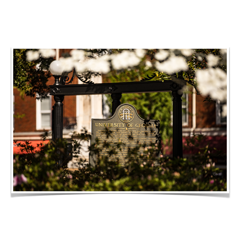Georgia Bulldogs - Looking Through the Arch - College Wall Art #Canvas