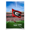 Georgia Bulldogs - The G Flag - College Wall Art #Poster