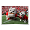 Georgia Bulldogs - Hairy and Uga Game Ready - College Wall Art #Poster