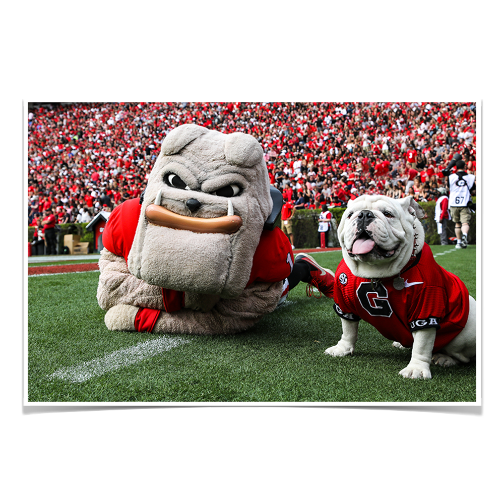 Georgia Bulldogs - Hairy and Uga Game Ready - College Wall Art #Canvas