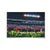 Georgia Bulldogs - Light Up Sanford - College Wall Art #Canvas