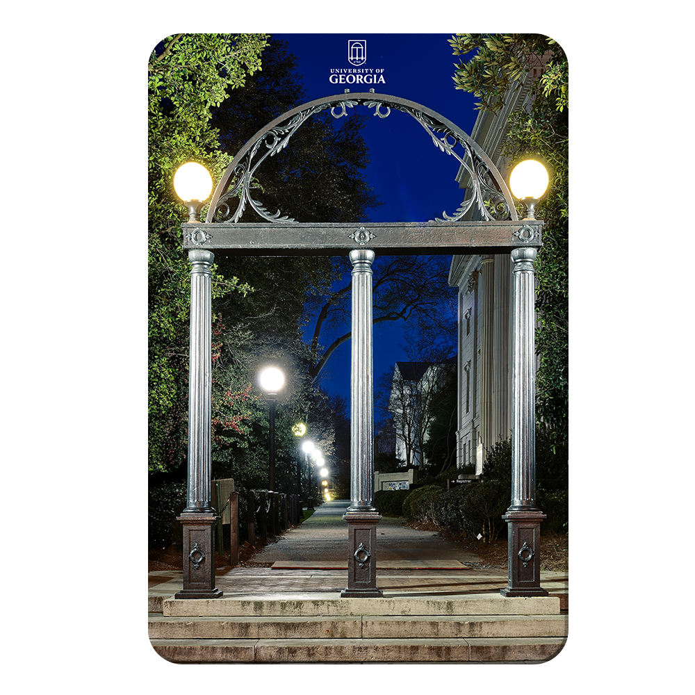 Georgia Bulldogs - Through the Arch - College Wall Art #Canvas