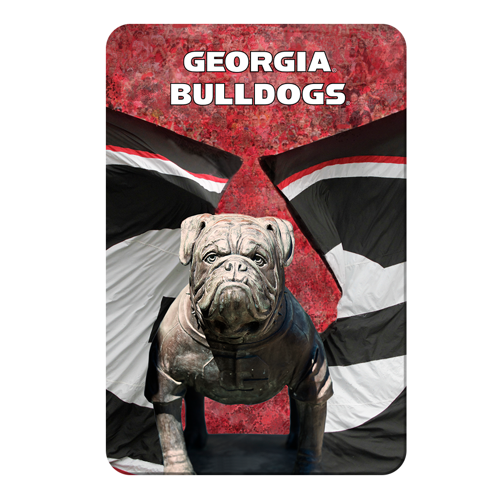 Georgia Bulldogs - Georgia Bulldogs - College Wall Art #Canvas