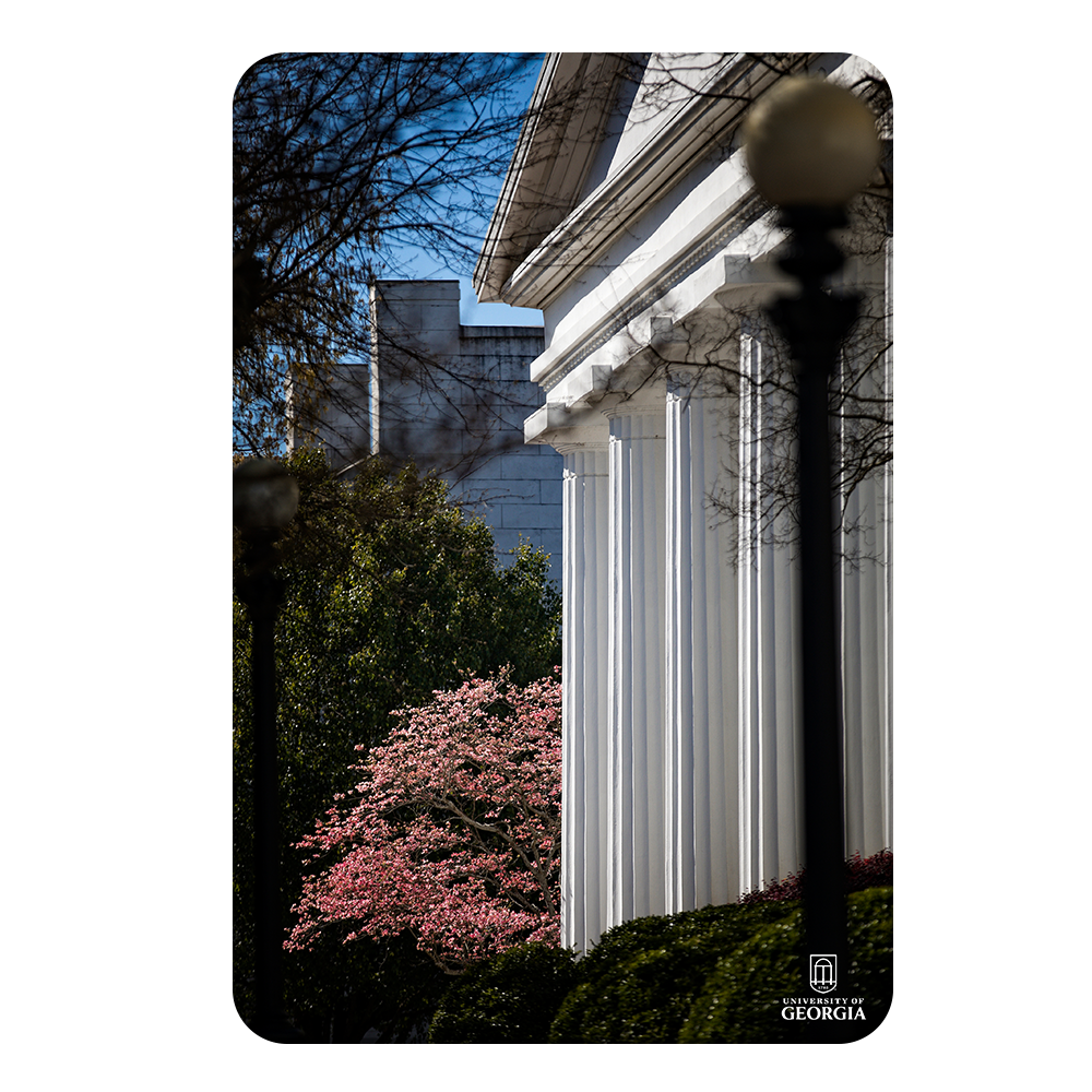 Georgia Bulldogs - Pillars of Strength - College Wall Art #Canvas