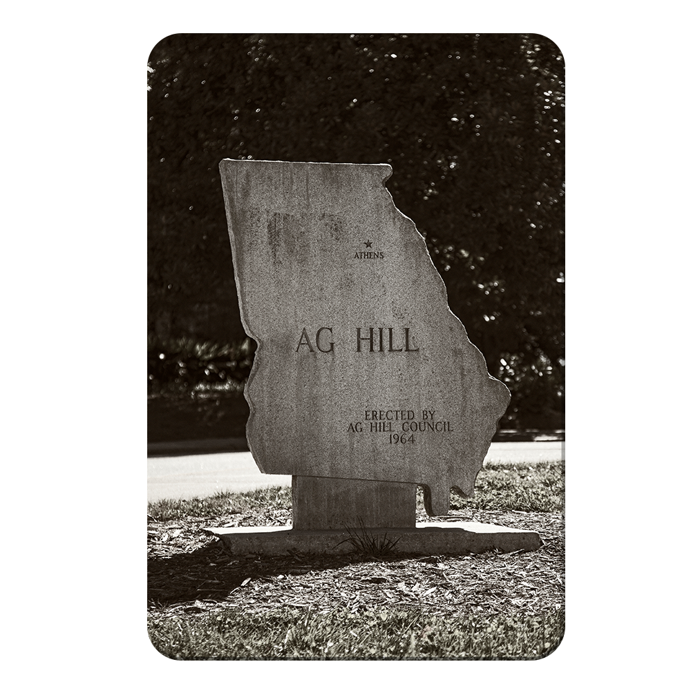 Georgia Bulldogs - AG Hill - College Wall Art #Canvas