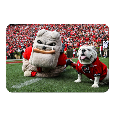 Georgia Bulldogs - Hairy and Uga Game Ready - College Wall Art #PVC