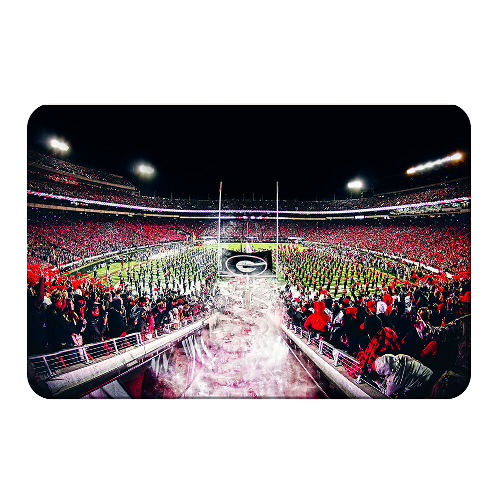 Georgia Bulldogs - Dawg Entrance - College Wall Art#Canvas