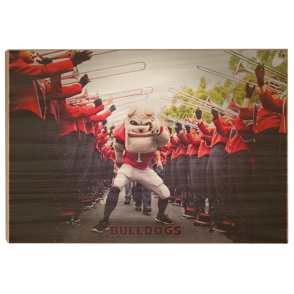 Georgia Bulldogs - Dawg Walk - College Wall Art #Canvas
