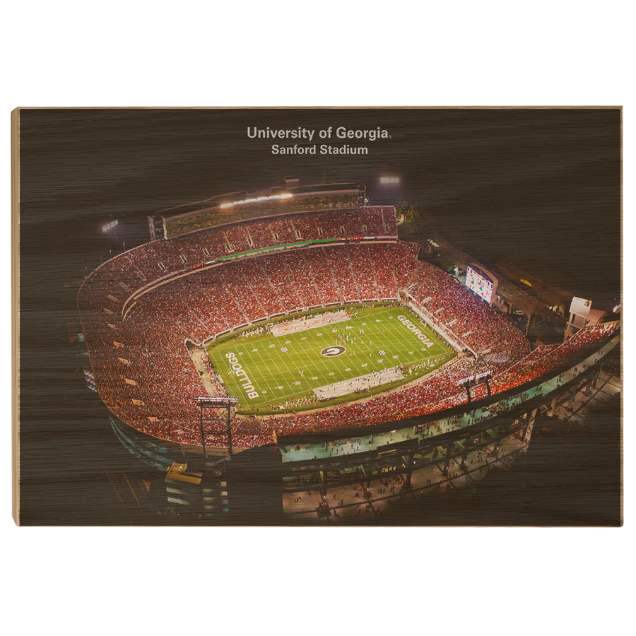 Georgia Bulldogs - University of Georgia Sanford Stadium - College Wall Art #Canvas