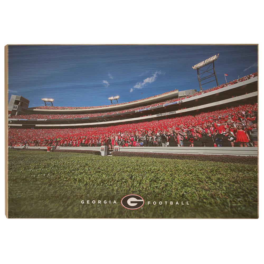 Georgia Bulldogs - Georgia Football - College Wall Art #Canvas