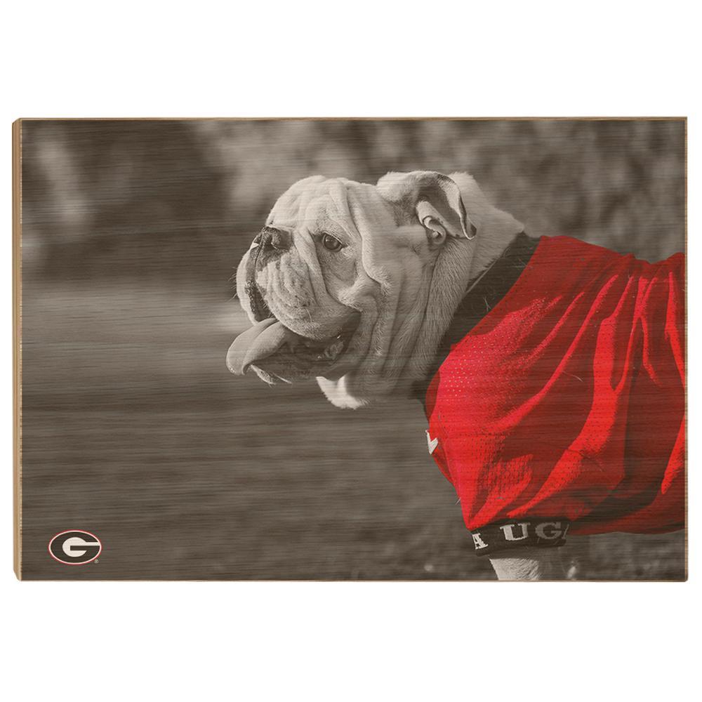 Georgia Bulldogs - Uga Poised - College Wall Art #Canvas