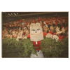 Georgia Bulldogs - Hairy in the Hedges - College Wall Art #Wood