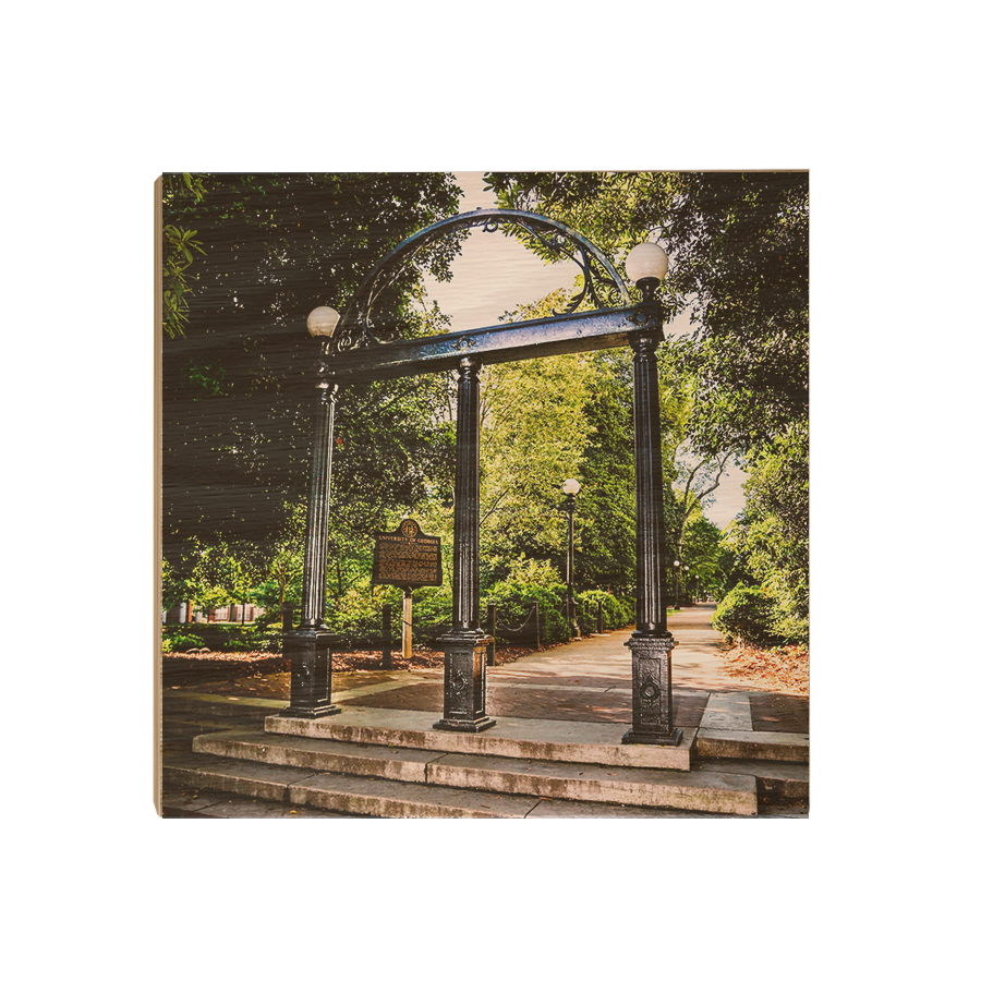 Georgia Bulldogs - The Arch - College Wall Art #Canvas