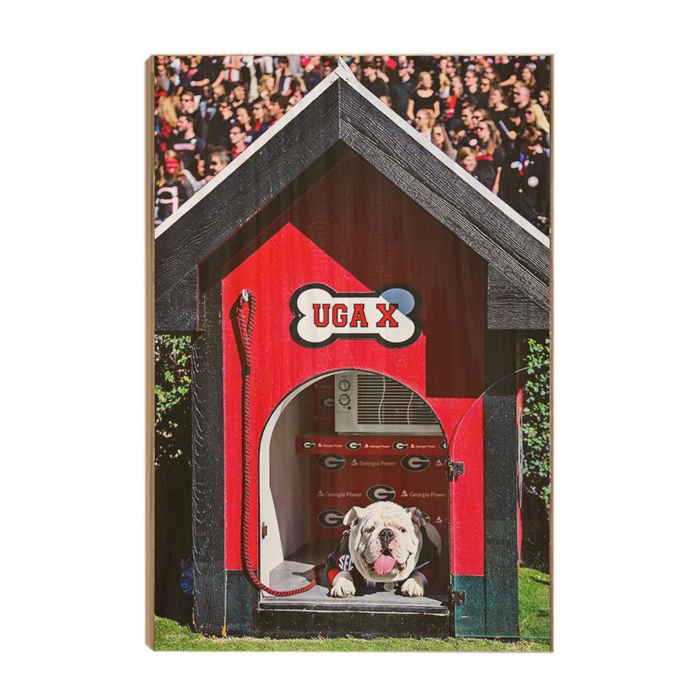 Georgia Bulldogs - Uga X in the House - College Wall Art #Canvas