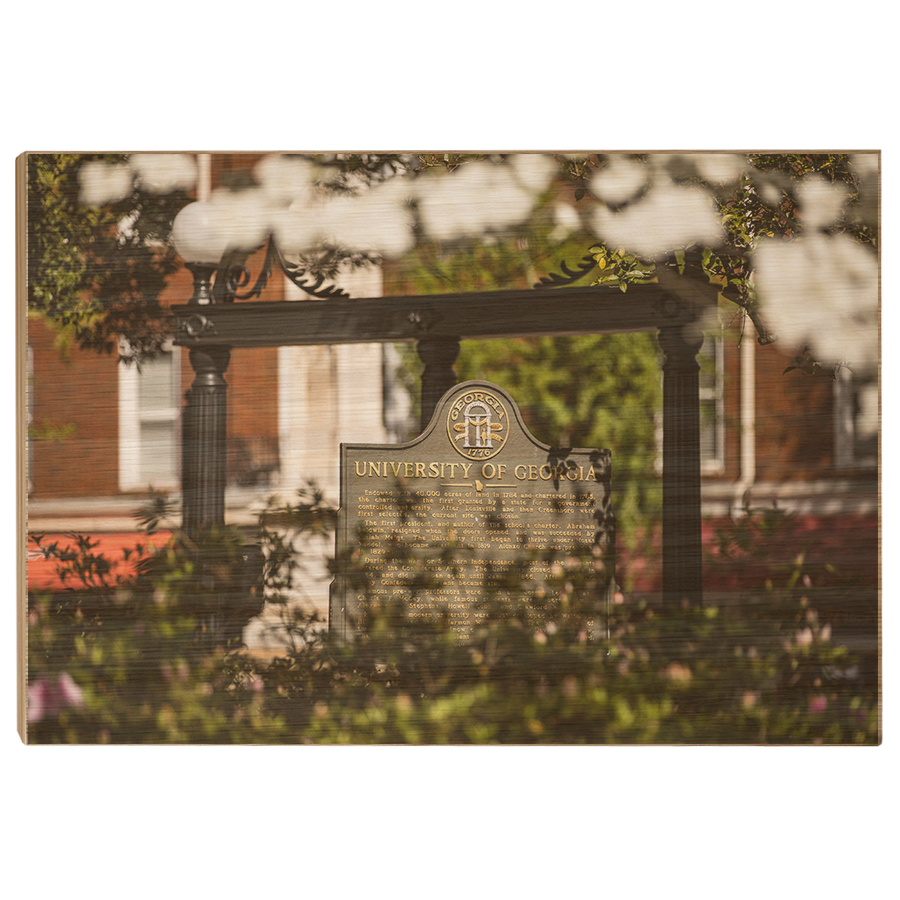 Georgia Bulldogs - Looking Through the Arch - College Wall Art #Canvas