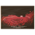 Georgia Bulldogs - Sanford Red Lights Georgia vs. Notre Dame - College Wall Art #Canvas