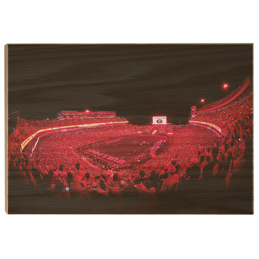 Georgia Bulldogs - Sanford Red Lights - College Wall Art #Canvas