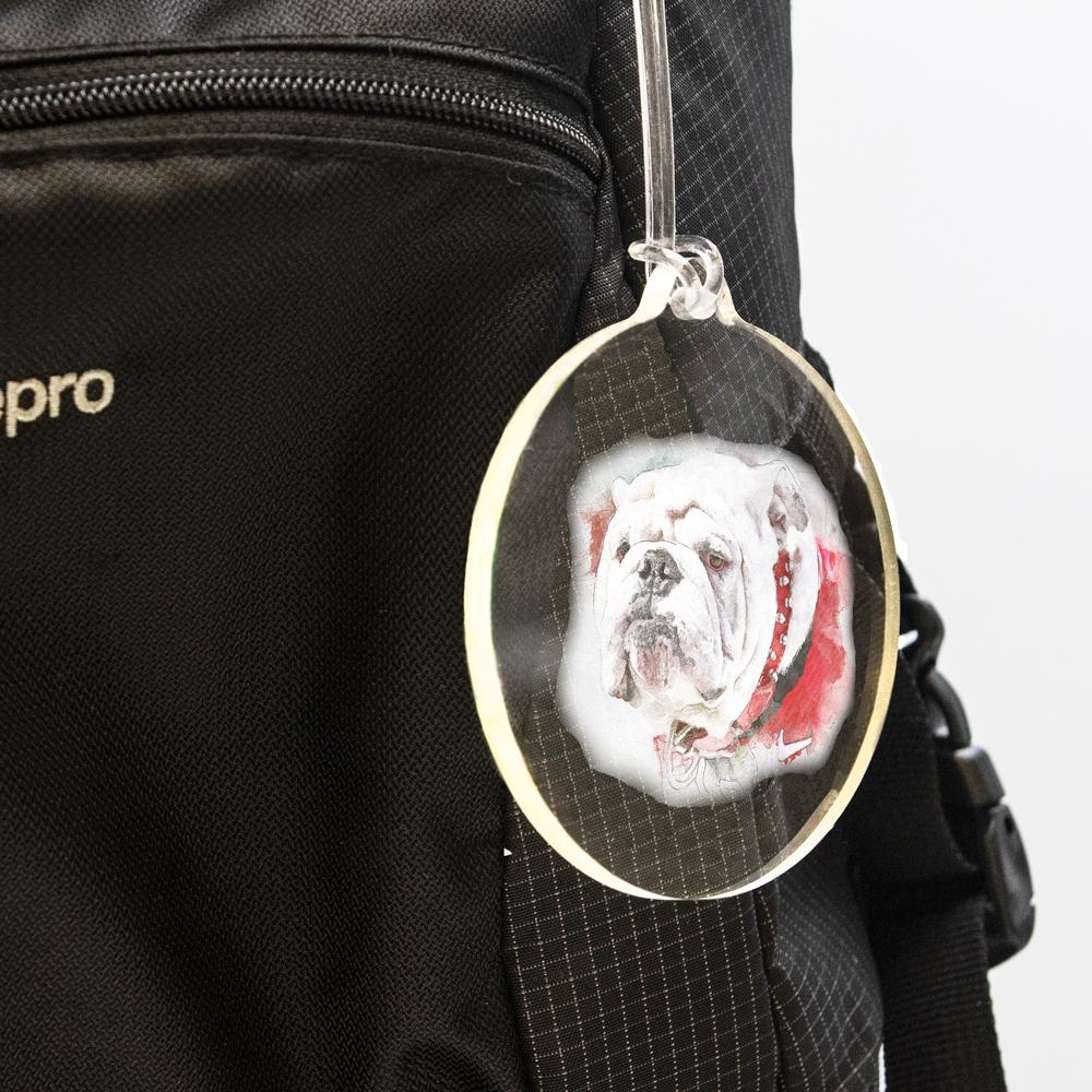 Georgia Bulldogs - Uga Painting Bag Tag & Ornament