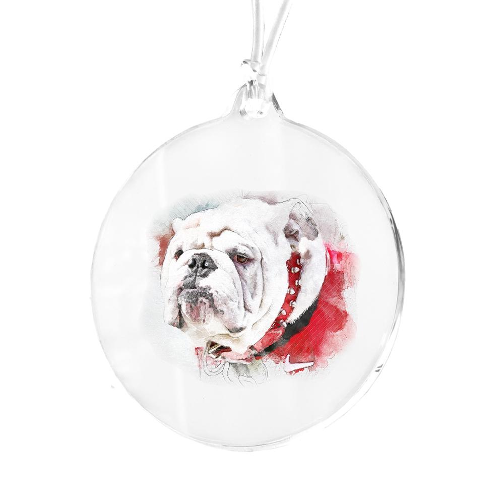 Georgia Bulldogs - Uga Painting Bag Tag & Ornament